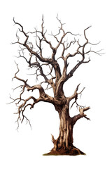 Fototapeta premium creepy gnarled trees isolated.