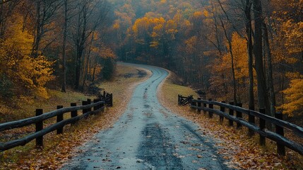 Naklejka premium Winding autumn road through forest. Background Misty hills, fall foliage. Use Travel/nature