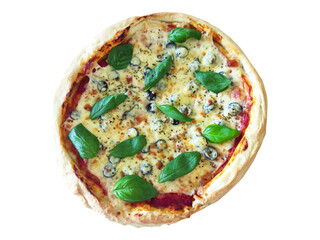 Delicious cheese pizza with black olives and fresh basil, overhead shot. Perfect for restaurant menus, food blogs, or any project needing an appetizing image of Italian cuisine.