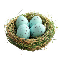 Obraz premium Four speckled blue eggs nestled in a grass and straw nest isolated on transparent background, PNG