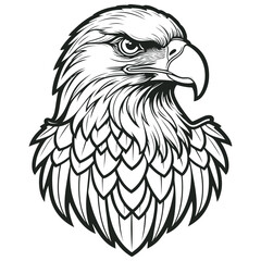 Obraz premium Vector illustration of a bald eagle head in black and white line art style. The detailed drawing showcases the bird's fierce expression, sharp curved beak, intense eye