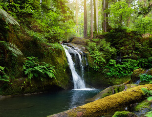 Obraz premium Generated image 森の泉