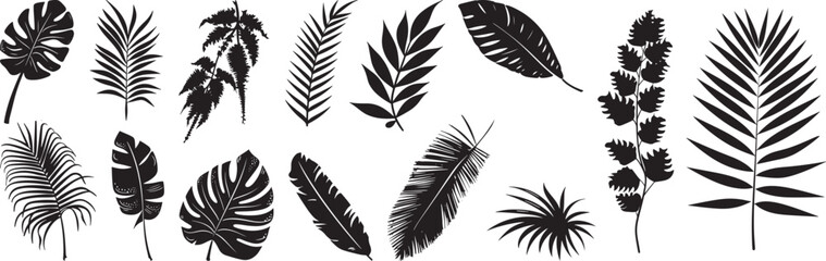 Tropical Leaves Vector Illustration: Black Silhouettes Isolated on White Background