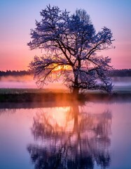 serene spring landscape with a blooming tree and a reflection on a lake