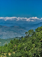 Obraz premium A stunning and lush green forest is beautifully nestled among the towering mountains, creating a breathtaking scene of natural beauty and tranquility that uplifts the spirit all year long