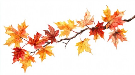 Fototapeta premium Professional Vibrant Autumn Maple Leaves Branch Stock Image for Marketing Materials