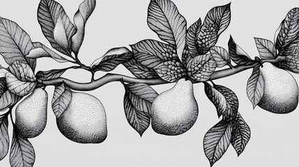Monochrome pears branch, detailed leaves, gray background, seamless pattern, food design