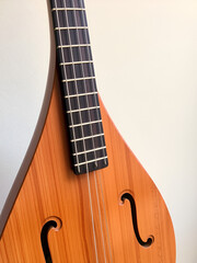 Obraz premium Appalachian Dulcimer Instrument Photo with Detailed String Work