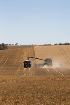 combine harvester and chase bin harvesting wheat