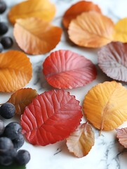 Colorful Fall Leaves and Berries on a Marble Surface Display