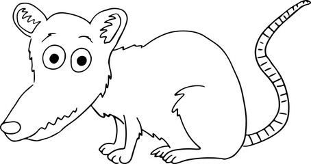 scared funny sitting rat looking at camera