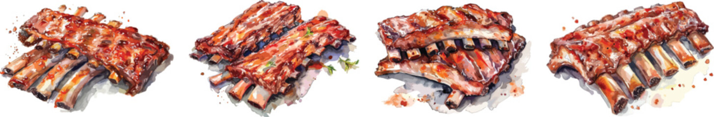 Watercolor Ribs Vector Illustration Set on White Background