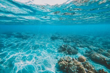 Obraz premium Underwater View of Clear Blue Ocean with Vibrant Coral Reef