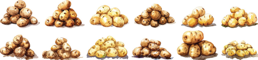 Potato Vector Illustration: Watercolor Style Vegetable Piles on White Background