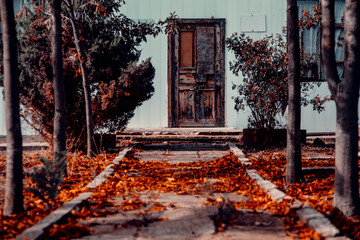  wooden door at the entrance of an old house