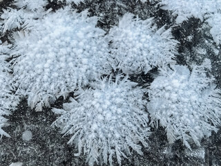 A detailed closeup view of a cluster of glistening ice crystals that have formed beautifully on the...