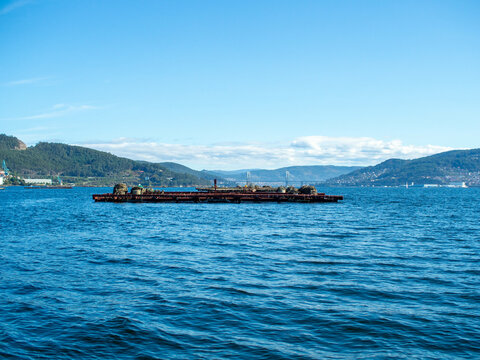 Bateas traditional aquaculture platform to cultivate mussels in the sea of Rias Baixas, Galicia (Spain)