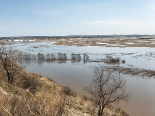 A beautiful, expansive body of water is visible, framed by lush trees in the foreground, while a clear blue sky stretches above in the background, creating a tranquil natural scene