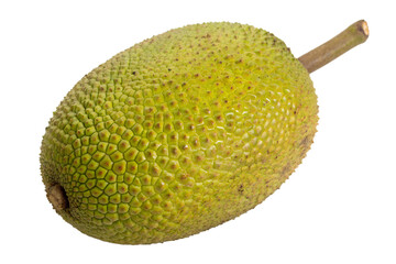 Breadfruit isolated on transparent background