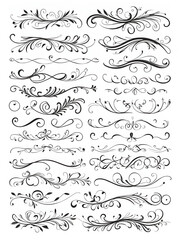 Vector swirl lines. Swash and flourish underlines. Hand drawn swish and swooshes. Calligraphic elegant vintage curved squiggles. Doodle fancy dividers on white background.