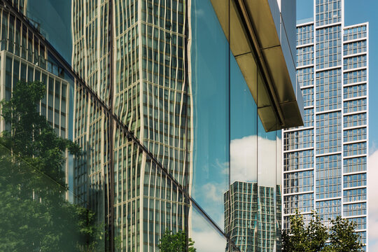 Glass reflections merging trees and buildings in a dynamic urban composition.