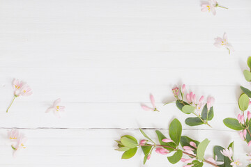 branches of  bush with pink flowers on wooden background