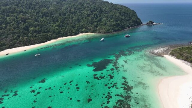 Aerail view of green forest and the sea. natural ecosystems  and oceans. concept of natural forest conservation	