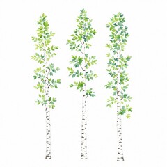 Fototapeta premium Three trees with green leaves are painted on a white background