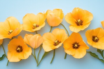 Bright Yellow Flowers Arranged on a Pastel Blue Background for a Minimalistic Aesthetic
