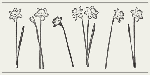 Vector flower narcissus trendy retro photocopy effect. Modern stipple dots texture for design art. y2k vintage collage set.