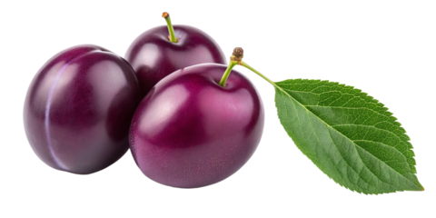 Two cherries isolated on white background, cherry, fruit, food, isolated, berry, red, ripe, sweet, white, healthy, cherries, fresh, dessert, leaf, two, green, juicy, diet, vegetarian, delicious, close