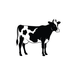 black and white cow on white background