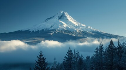 Majestic Snow-Capped Mountain Piercing Clouds Over Forest
