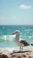 Fototapeta premium Seagull standing on rock by ocean shore under clear blue sky