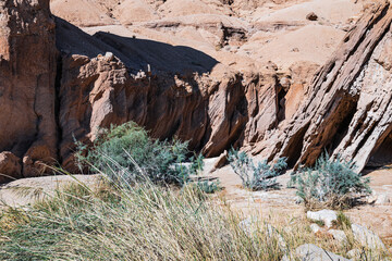 Eroded rock textures in a canyon in the Middle East. Hardy desert plants.