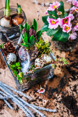 Spring gardening, preparing spring mood table decoration of flowering plants