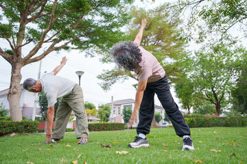 Two Asian seniors perform stretching exercises in a green park, enjoying the fresh air and morning...