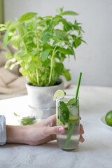 Hand holding glass with homemade crafted summer cocktail, green mojito beverage on kitchen table