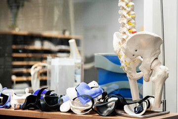 model of spine and pelvis on table in physio clinic