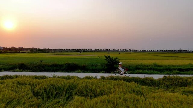 Hoi An, Vietnam, aerial view - Cycling on rice fields_Flying over