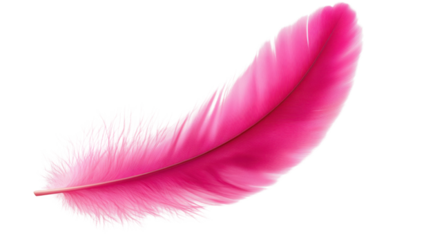 . A single bright pink feather isolated on a transparent PNG, gently curved and with soft highlights that emphasize its delicate nature.