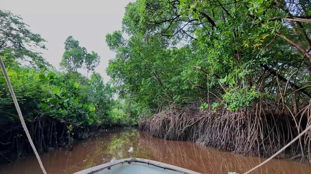 Boat trip on the Igarape do Urubu River, Delta das Americas, Ilha das Canarias, Brazil. Amazon Rainforest. South America