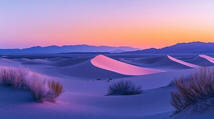 Serene Dunes at Sunset with Vibrant Sky Colors Over Desert Landscape at Twilight