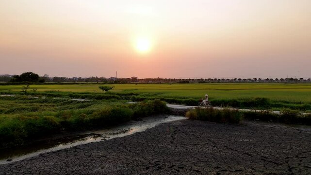 Hoi An, Vietnam, aerial view - Cycling on rice fields_dolly shot