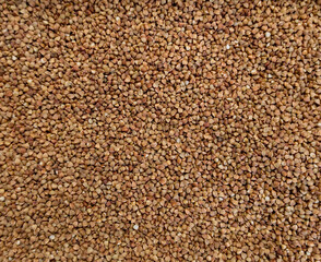 Detailed macro shot of uncooked buckwheat groats spread evenly, highlighting their triangular shape and nutritional value