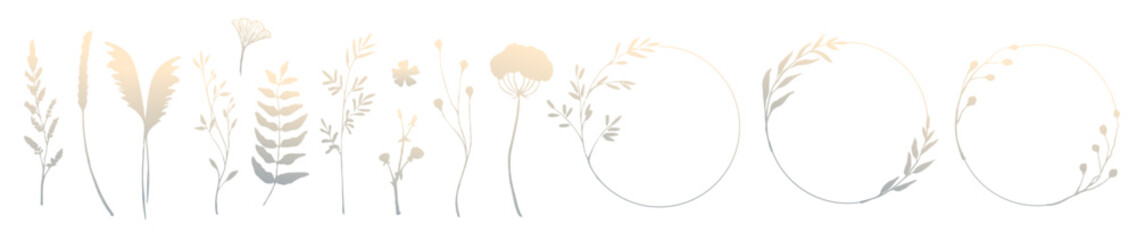 Naklejka premium Dried wildflower plants stem, leaves, floral round frame ornamental decoration gradient color set