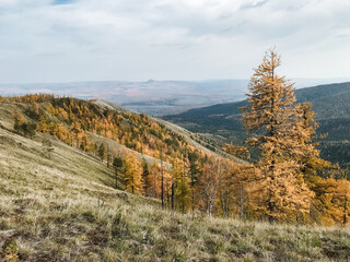 A majestic mountain rises high, adorned with lush trees, offering breathtaking views of the vast valley below, showcasing natures incredible beauty and scenery for all to admire