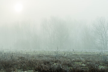 foggy landscape alon the Ticino river during a winter morning, Pavia