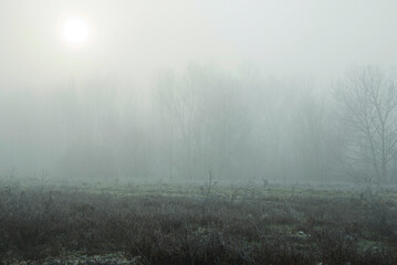 foggy landscape alon the Ticino river during a winter morning, Pavia