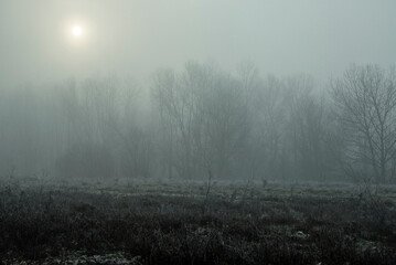foggy landscape alon the Ticino river during a winter morning, Pavia